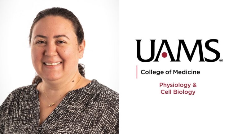 UAMS Receives $2.4 Million to Study Bone Loss in Aging and Brittle Bone Disease