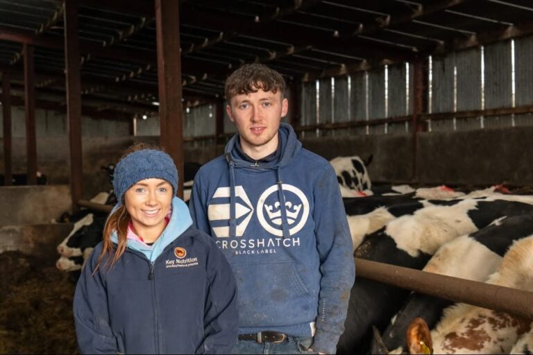 CAFRE student reflects on placement year in Animal Nutrition