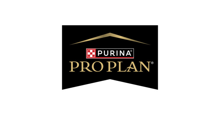 Purina Veterinarian Explains Why Senior Dog Nutrition Needs to Start Earlier Than Owners Expect