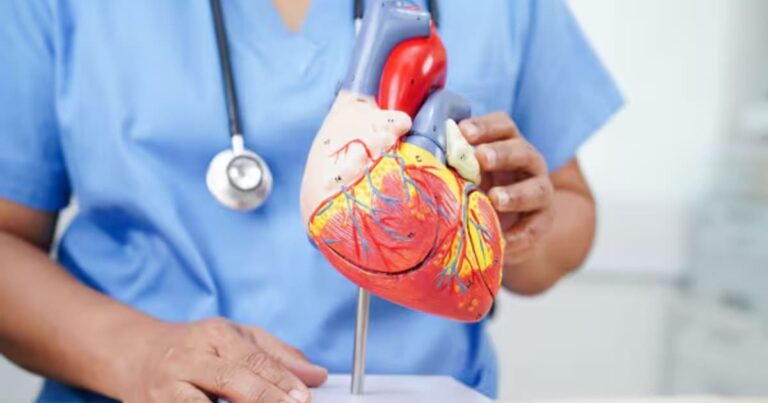 Neither WALKING, nor CYCLING, nor the GYM: the BEST EXERCISE for taking care of the HEART and improving circulation