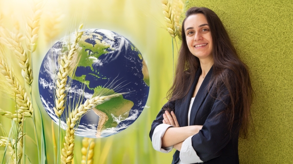 An illustration that shows field of wheat, stalks of wheat juxtaposed over an image of the Earth and industrial engineer Deniz Berfin Karakoc