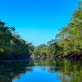 Sabahmas riparian forest