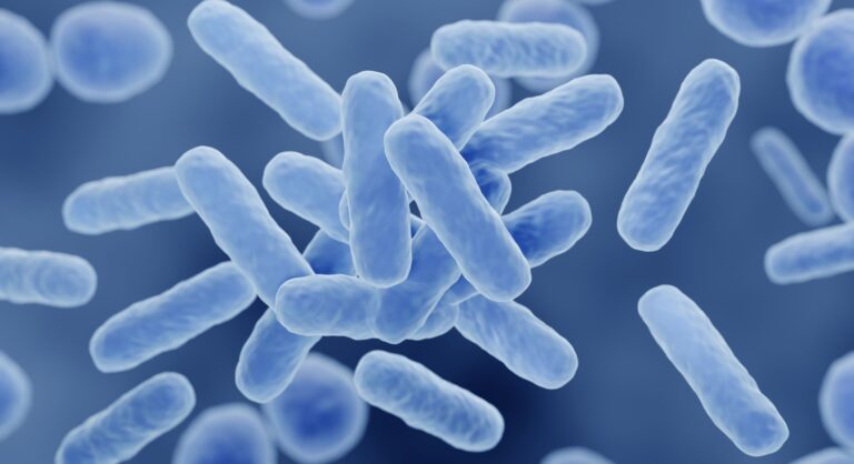 What Bifidobacteria tell us about gut health and how diet can help