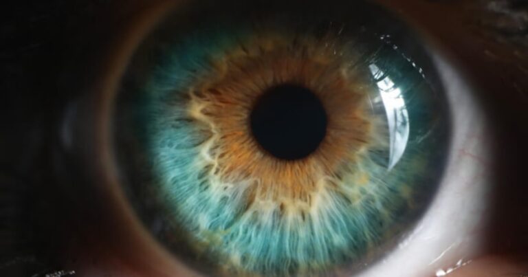 Catching up with eye health supplements: A round