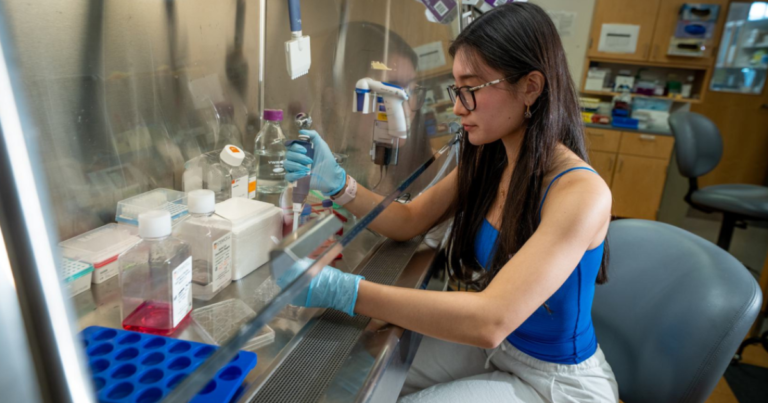 A Head Start in Research