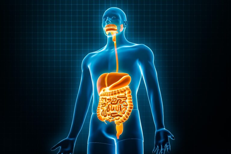 The oral–gut–liver axis in advanced chronic liver disease: expert commentary