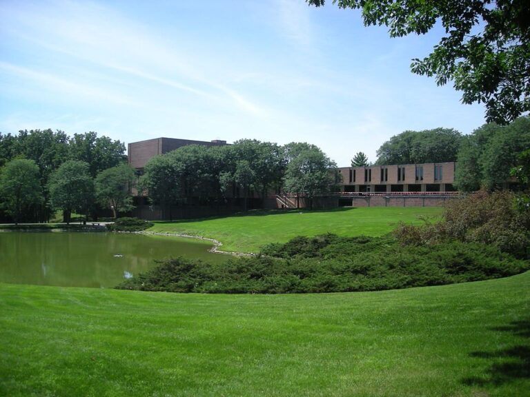US arts faculty abolishes grades 'to protect mental health'
