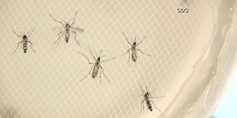 Three West Nile virus cases confirmed in Montrose County