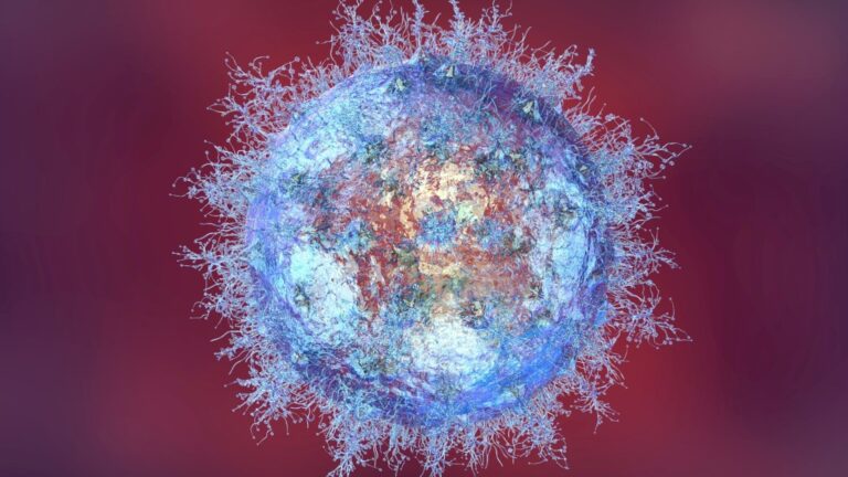 Why the same virus can be mild for some and deadly for others Why the same virus can be mild for some and deadly for others