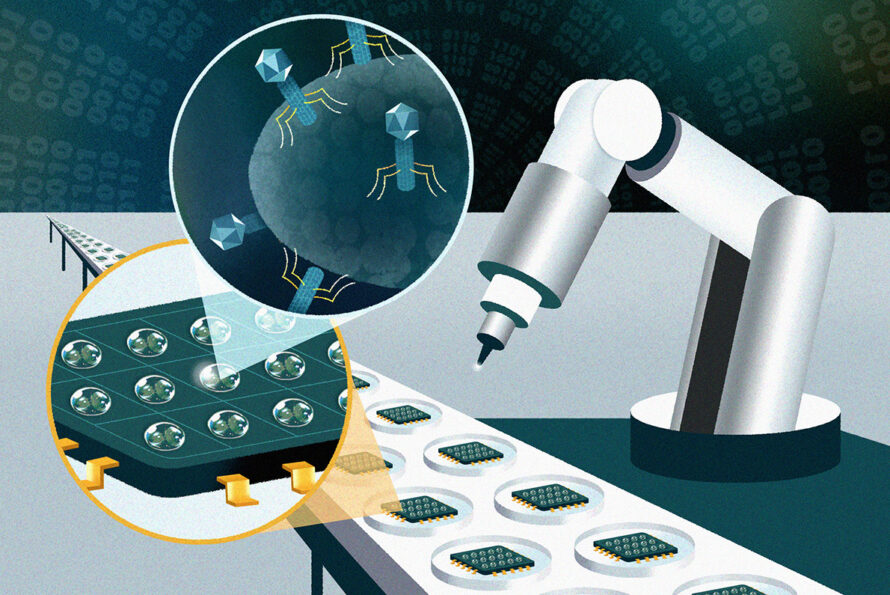 A robot arm drops liquid onto an endless conveyor belt of tiny chip devices. Inset images show these chips each hold many individual droplets arranged in a grid, and within this liquid, bacteriophages are attacking a bacteria.
