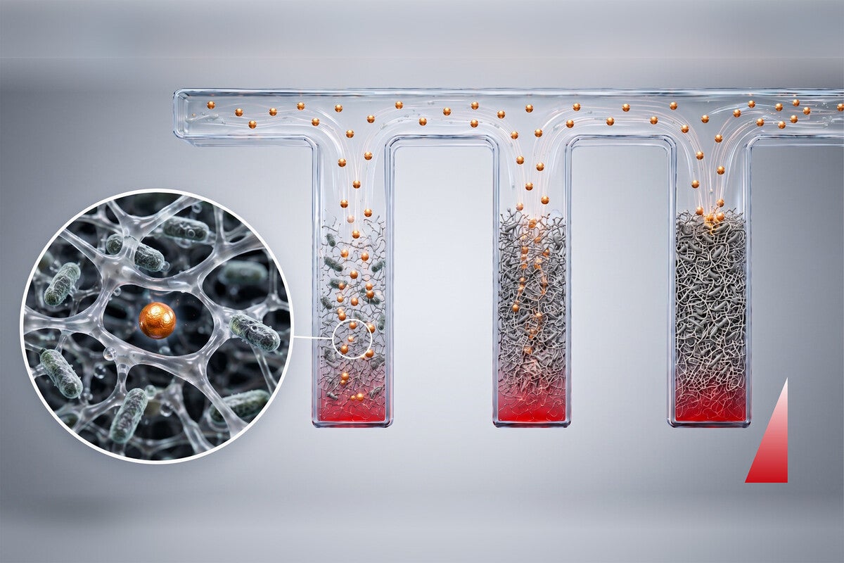 Illustration: Particles flowing through various densities of biofilm.