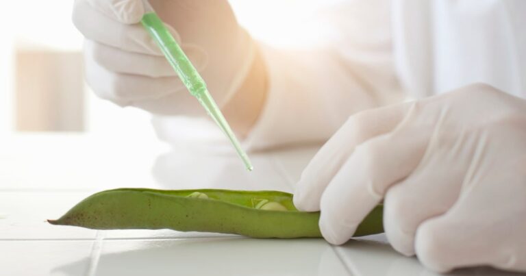 China puts alternative proteins at heart of future food strategy China puts alternative proteins at heart of future food strategy