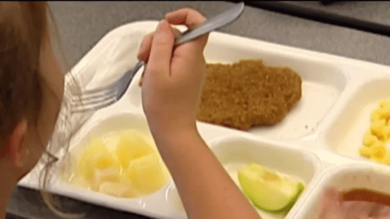 Health experts share science-backed tips to cut through online nutrition misinformation