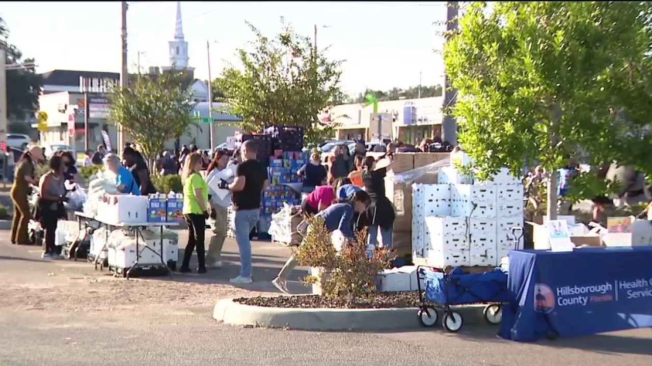Free grocery giveaway in Ruskin