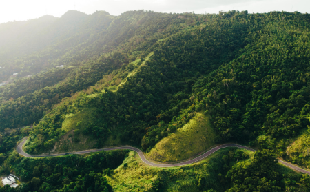 Data Modernization Strategies from Island Public Health Leaders Data Modernization Strategies from Island Public Health Leaders