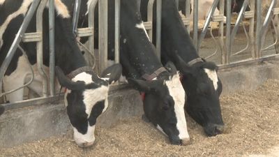 Trends show that farms are on the decline in Michigan and the United States.jpg