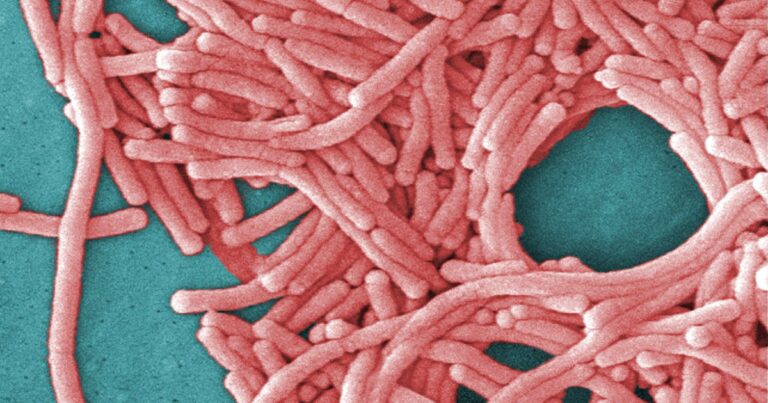 Death toll rises to 11 in Upper East Side Legionnaires' outbreak, officials say