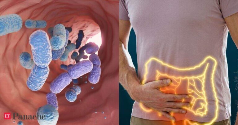 Wrong diet can make your gut bacteria 'eat you': Feeding it the right food helps protect your body. Research reveals what to eat?
