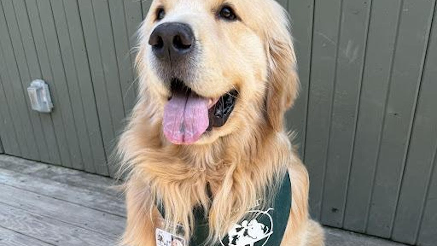 dug.jpg