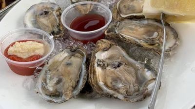 Oysters_1.jpg