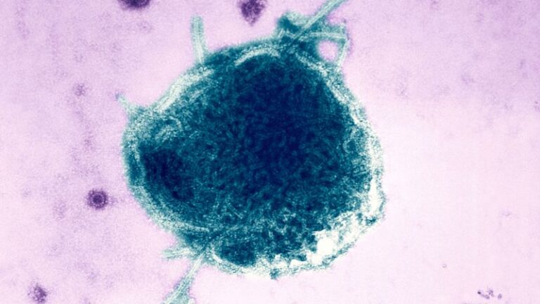 A war of words followed two measles-related deaths in Pennsylvania A war of words followed two measles-related deaths in Pennsylvania
