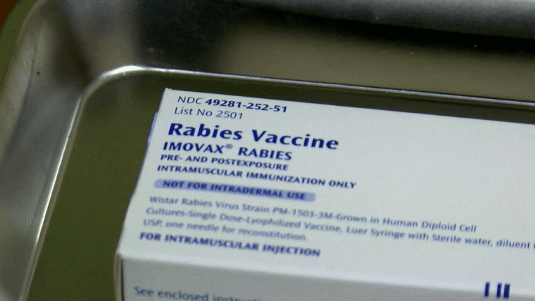 Potential rabies exposures linked to baby goats at NC mobile petting zoo: NCDHHS