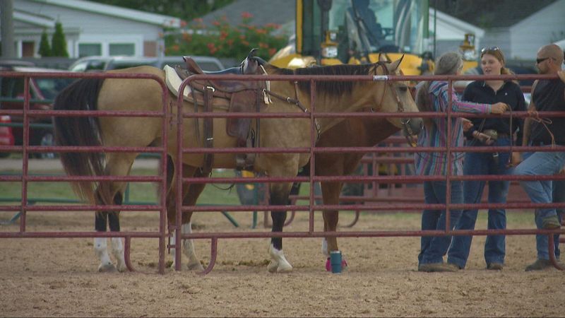 Horse at Brown County Fair, Aug. 23, 2026. (WLUK/Lauren Pieczynski)