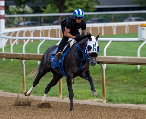 Champion Shisospicy Returns to Worktab at Saratoga Champion Shisospicy Returns to Worktab at Saratoga