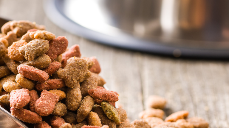 Pet food recalled over salmonella, listeria risks