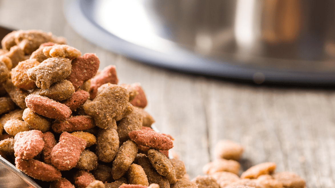 pet food.png