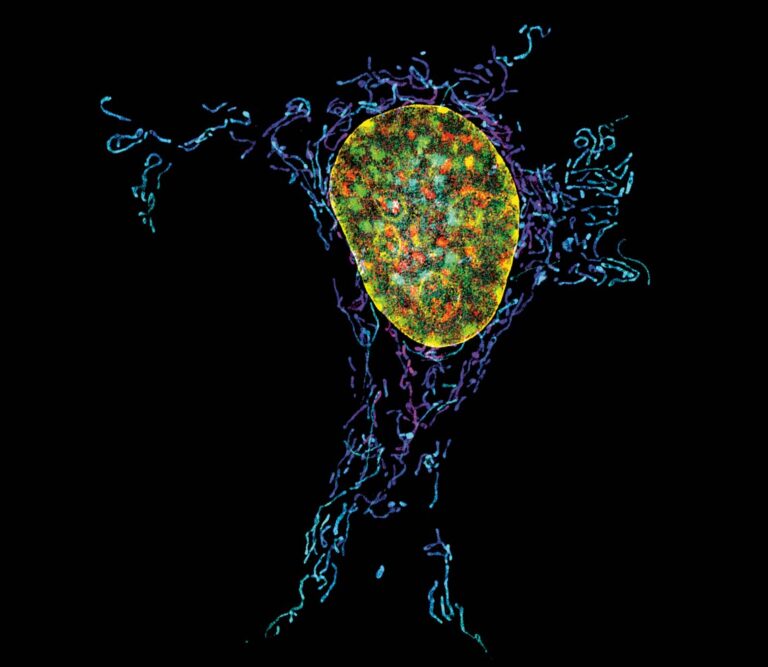 Discover what’s next in cancer at Aug. 22 symposium Discover what's next in cancer at Aug. 22 symposium