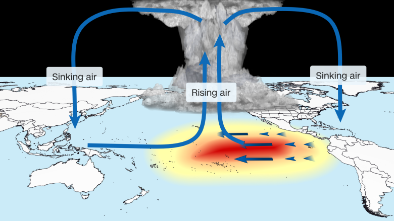 Air rises above the warmer Pacific (El Niño conditions), then sinks down over parts of the western Atlantic basin, helping suppress the storms that could grow into a tropical system.