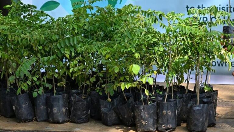 KAU launches ‘Panchakam’ model to boost household nutrition through home gardens