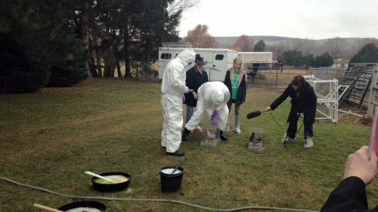 Michigan farmers facing new rules to prevent disease outbreaks like bird flu Michigan farmers facing new rules to prevent disease outbreaks like bird flu