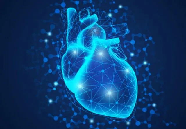 Healthy lifestyle remains the best defense against heart aging Healthy lifestyle remains the best defense against heart aging