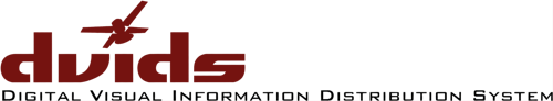 Digital Visual Information Distribution System Logo