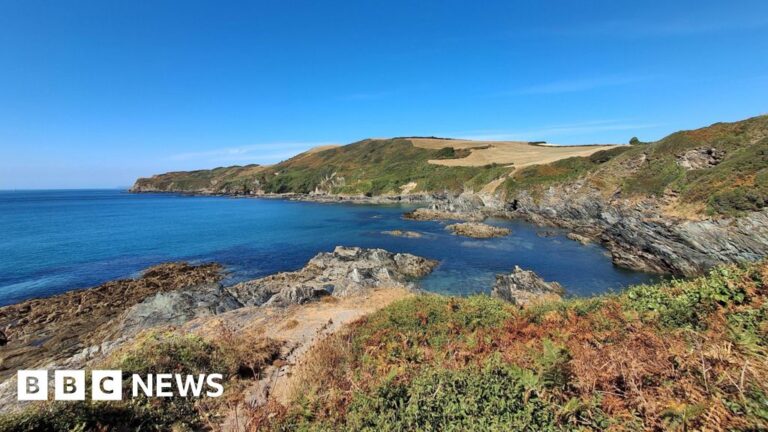 Yellow heat health warning issued for South West Yellow heat health warning issued for South West