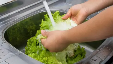 Universal Images Group via Getty Images A person washing lettuce under running water.