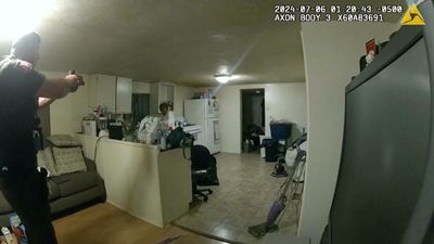 AP24204835334386.jpg