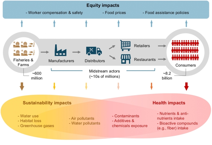 Infographic detailing factors of food system inequities.