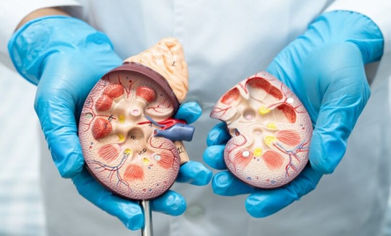 CKD Screening Recommended in Heart Disease: ESC 2026