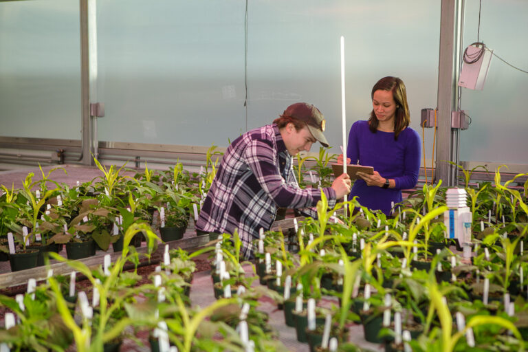 UK Food as Health Alliance opens $50,000 in pilot funding to tackle food and health challenges UK Food as Health Alliance opens $50,000 in pilot funding to tackle food and health challenges
