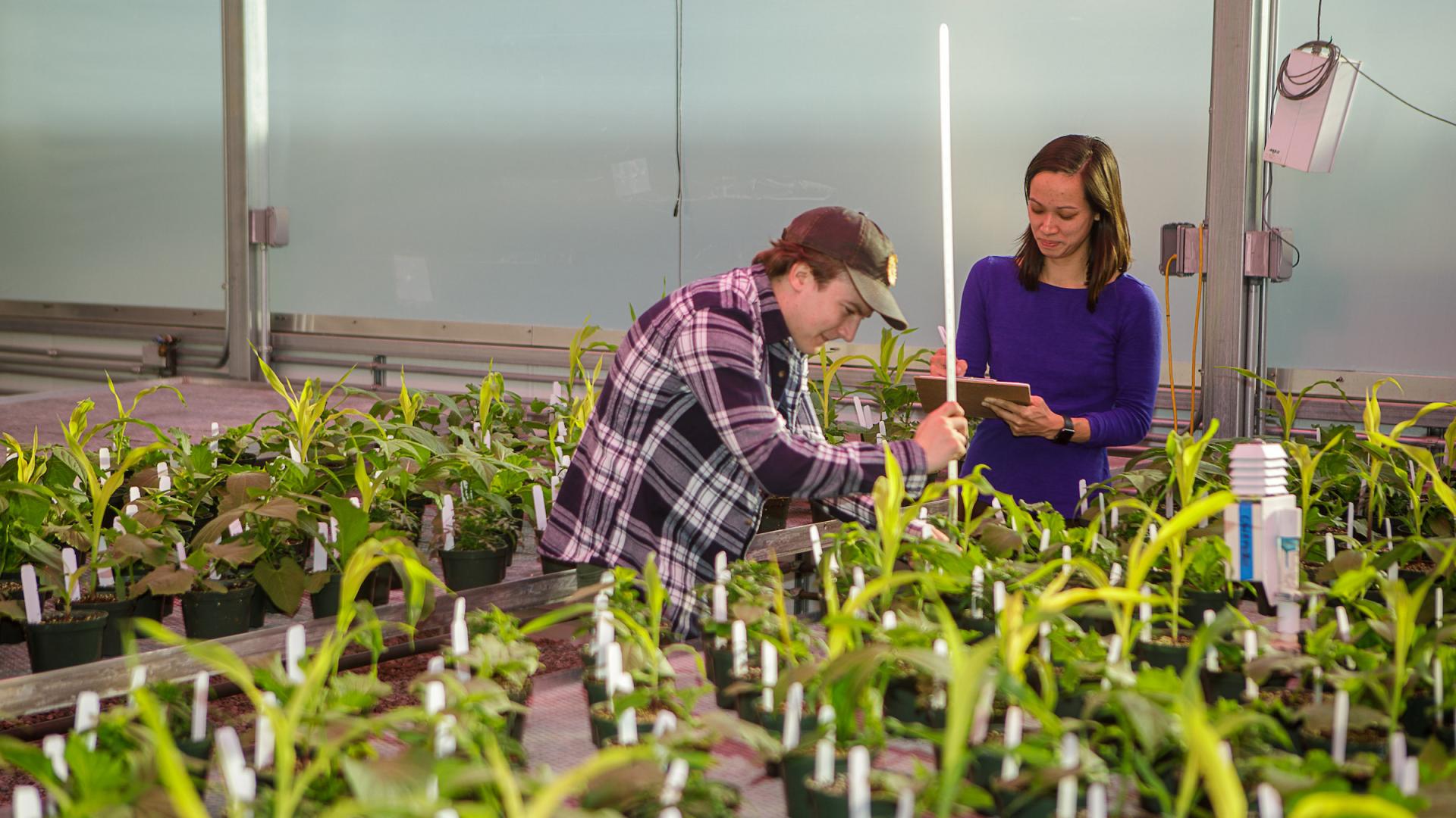 The Food as Health Alliance is going to be granting pilot funding for food research. Photo by Matt Barton.