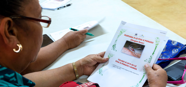 Regional action for the prevention, preparedness and response to emerging arboviruses
