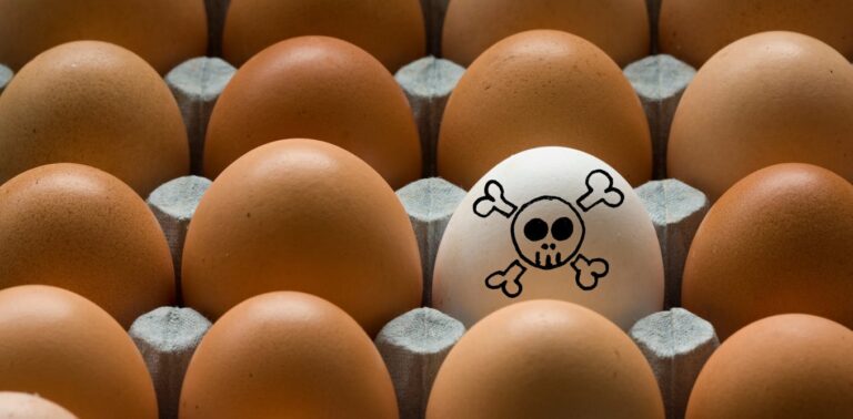 Why does Salmonella cause serious illness in some people but not others? Why does Salmonella cause serious illness in some people but not others?
