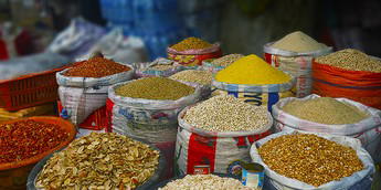 Seeds, science and nutrition: Transforming Nigeria’s food system through plant breeding for human health Seeds, science and nutrition: Transforming Nigeria’s food system through plant breeding for human health