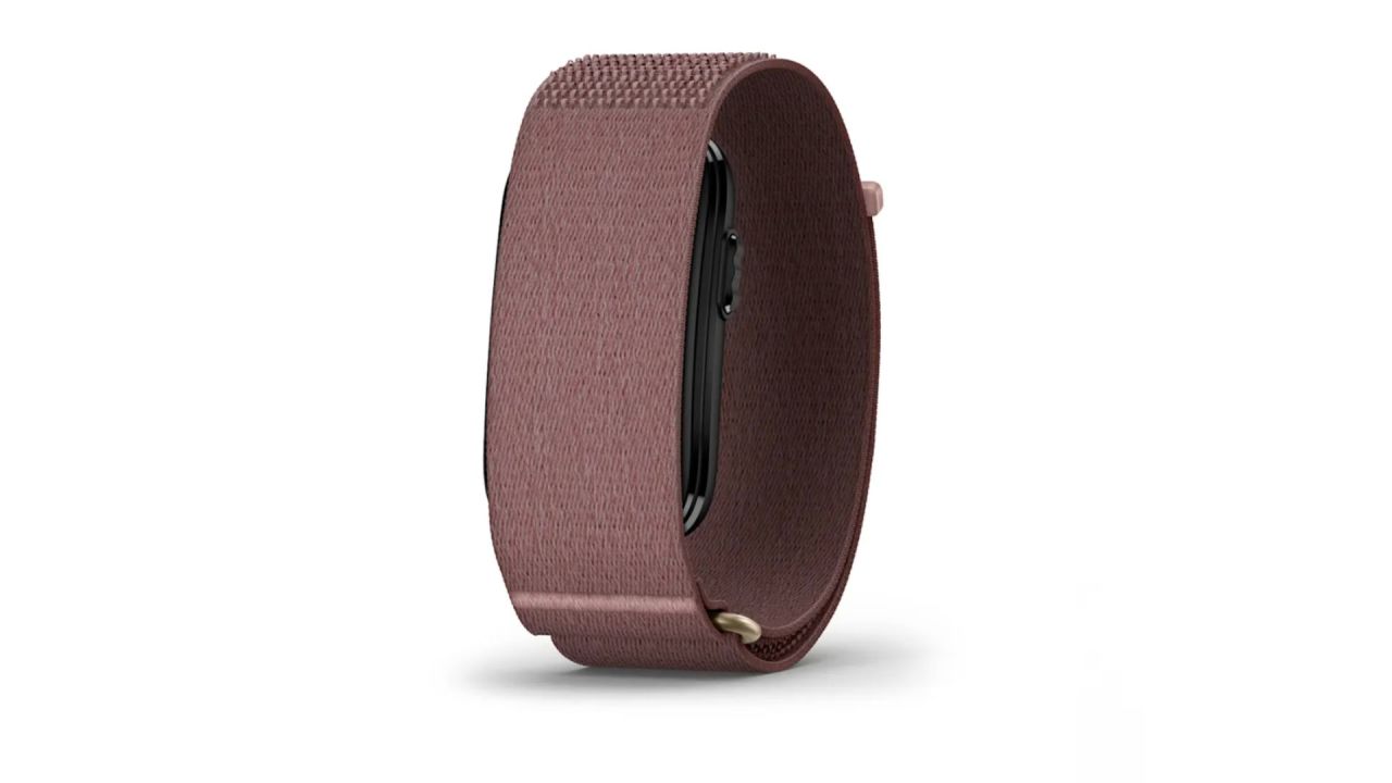 Garmin Cirqa Smart Band