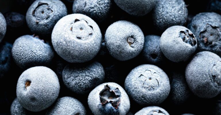 FDA Upgrades Publix Recall of Frozen Blueberries to Class I FDA Upgrades Publix Recall of Frozen Blueberries to Class I