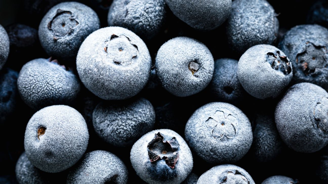 Close up of frozen blueberries