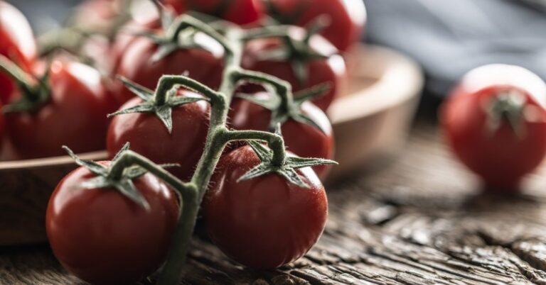 MASLD: Eating tomatoes daily may help lower liver fat buildup